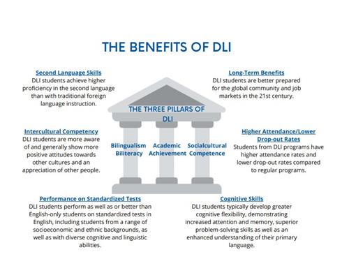 DLI Pillars